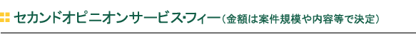 セカンドオピニオンサービス・フィー（金額は案件規模や内容等で決定）